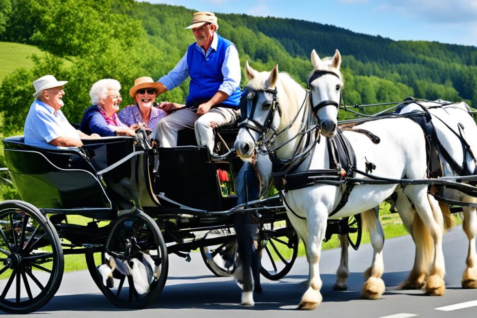 Horse-Driven Initiatives for Elderly Engagement